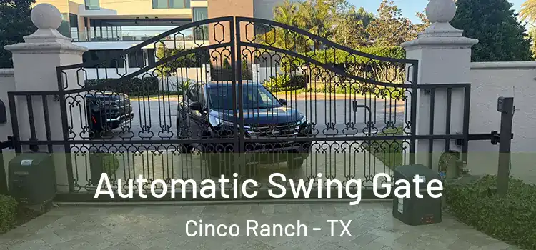  Automatic Swing Gate Cinco Ranch - TX