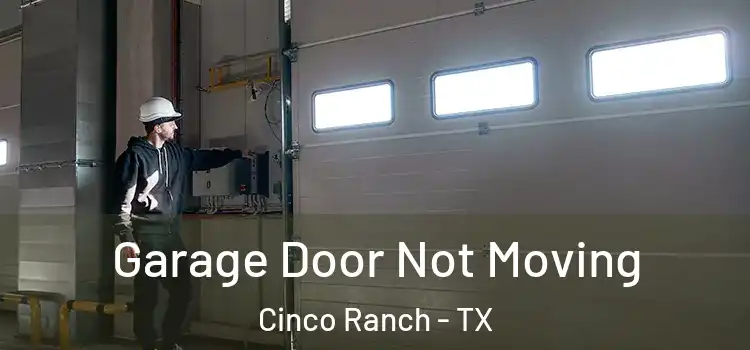  Garage Door Not Moving Cinco Ranch - TX